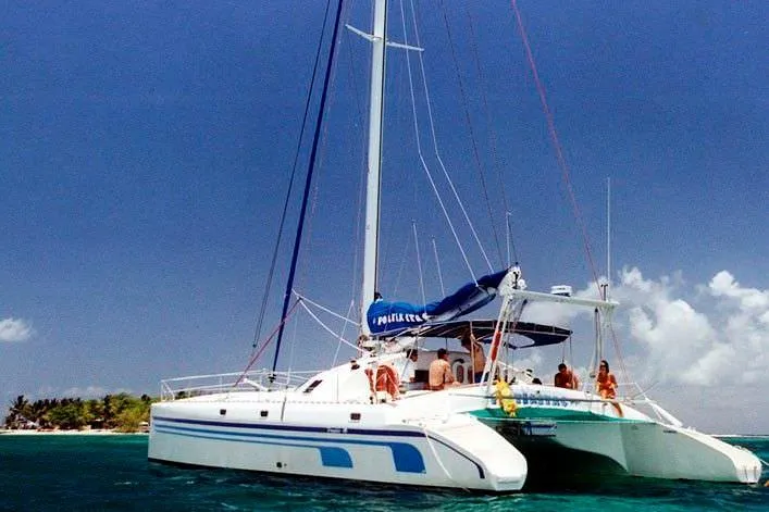Slide: The Image of 2004 Soubise Plaisance Freydis 46 catamaran sailing in tropical waters. - 3