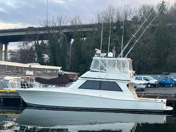 Slide: The Image of Viking 50 Conv Sport Fisher 1991 - 0