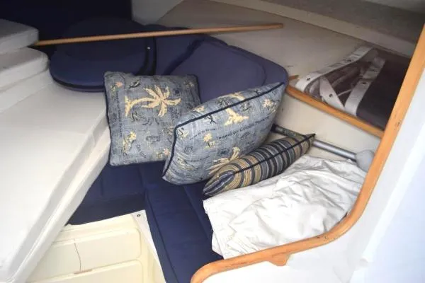 Slide: The Image of Bertram 30 Moppie 1995 - 4