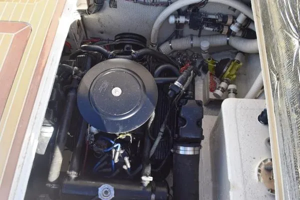 Slide: The Image of Bertram 30 Moppie 1995 - 5