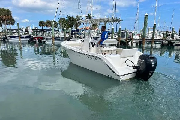 Slide: The Image of Cobia 220 2022 - 10
