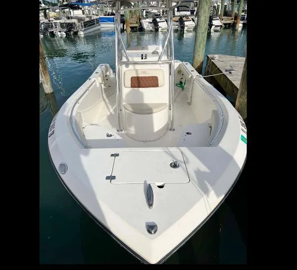 Slide: The Image of Cobia 220 2022 - 9