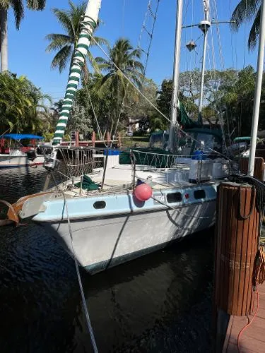 Slide: The Image of Morgan Out Island 41 1980 - 1