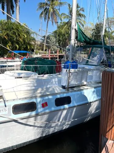 Slide: The Image of Morgan Out Island 41 1980 - 2
