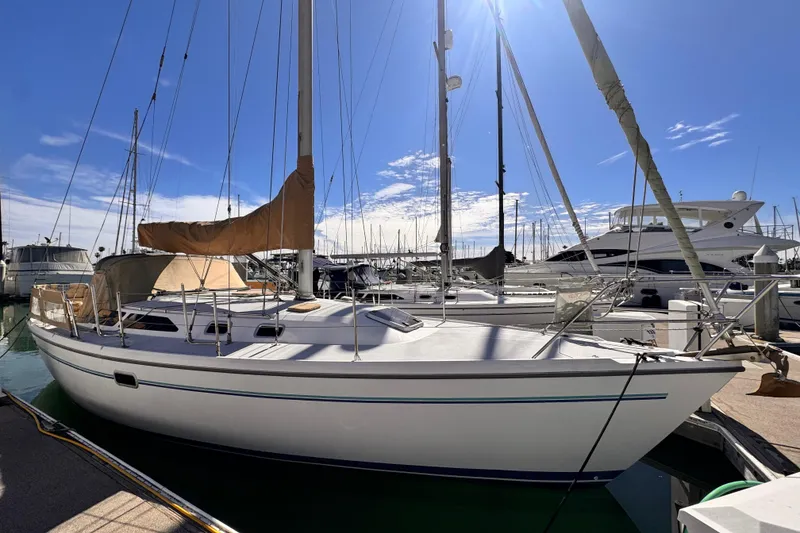 The Image of 1995 Catalina 36 MkII sailboat docked in a sunny marina, surrounded by other boats. - 0