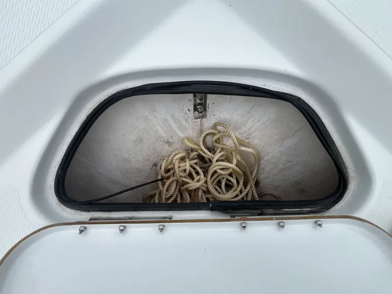 Slide: The Image of Blue Wave 2200 STL 2019 - 16