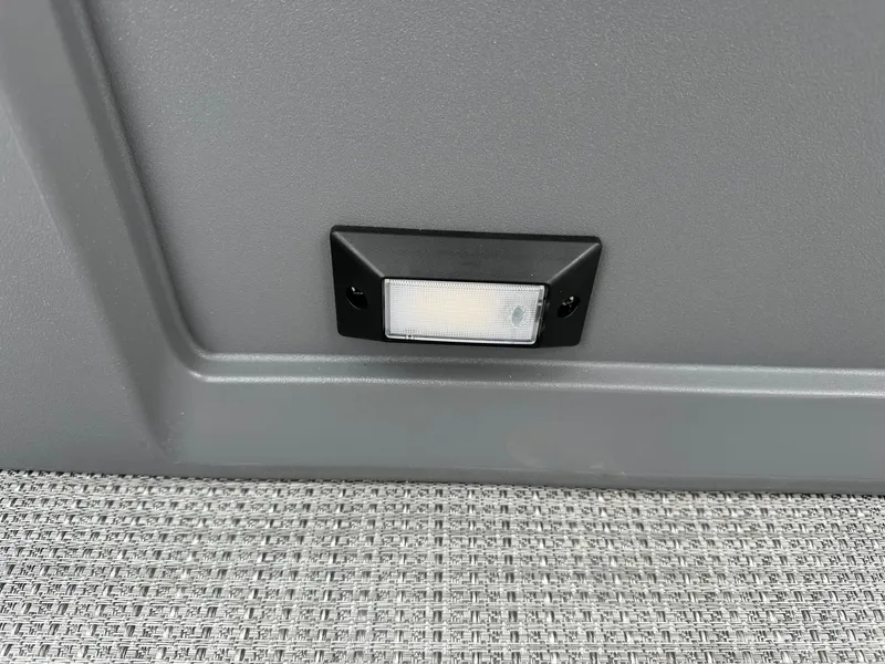 Slide: The Image of Sylvan R22 Party Fish 2026 - 10