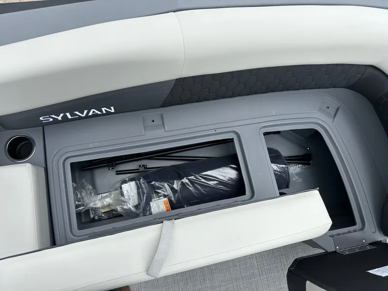 Slide: The Image of Sylvan R22 Party Fish 2026 - 8