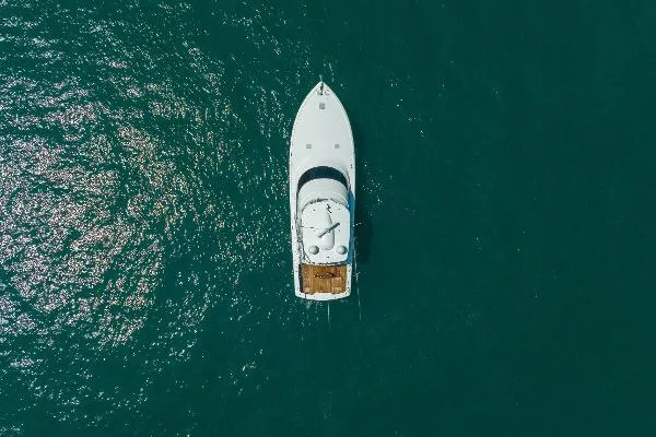 Slide: The Image of Viking 58 Convertible 2020 - 11