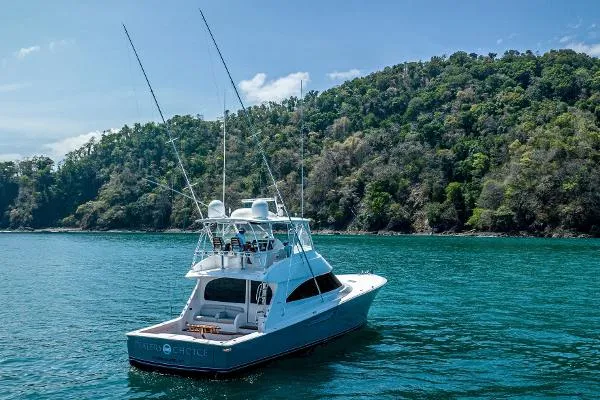 Slide: The Image of Viking 58 Convertible 2020 - 9