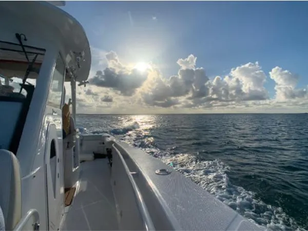 Slide: The Image of Everglades 325cc 2016 - 0