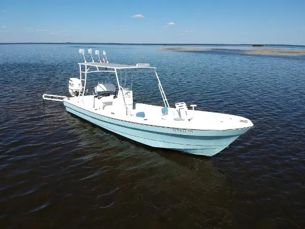 Slide: The Image of Andros Tarpon 26 2006 - 1