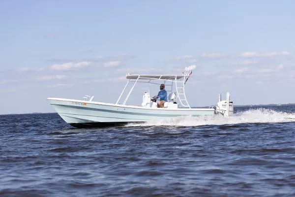Slide: The Image of Andros Tarpon 26 2006 - 3