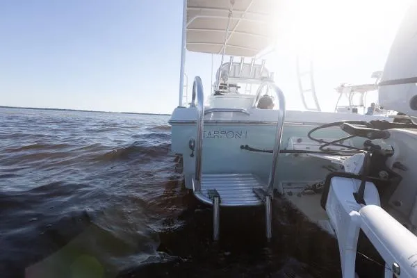 Slide: The Image of Andros Tarpon 26 2006 - 5