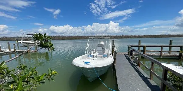 Slide: The Image of Andros Tarpon 26 2006 - 8