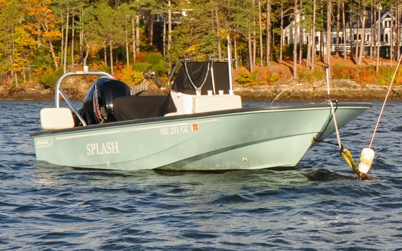 Slide: The Image of Boston Whaler MONTAUK 170 2020 - 0