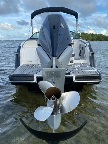 Slide: The Image of Monterey 255 SS 2021 - 7