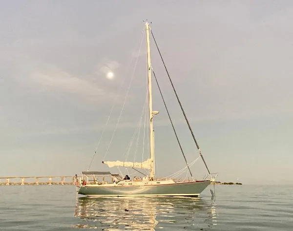 Slide: The Image of Alden 44 1991 - 1