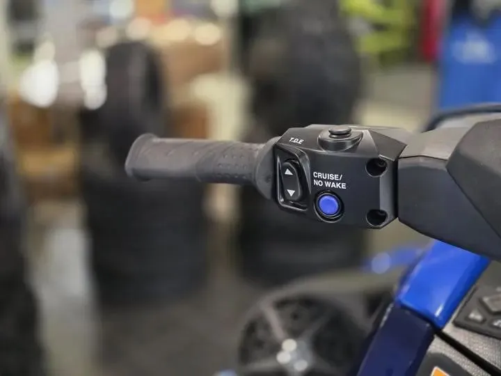 Slide: The Image of Yamaha VX Limited 2026 - 14