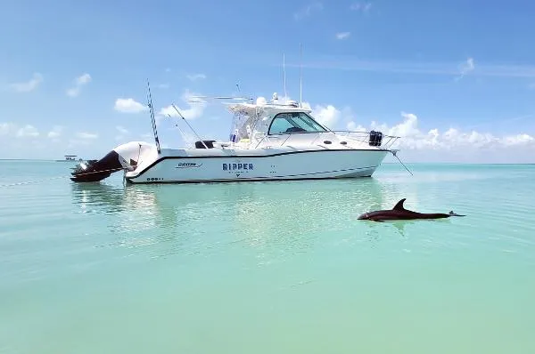 Slide: The Image of Boston Whaler Conquest 345 2008 - 0