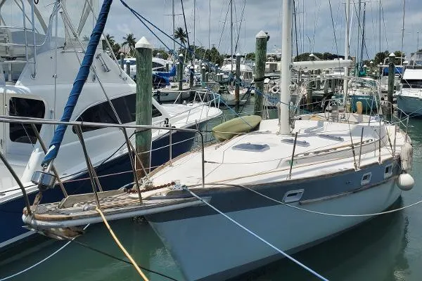 Slide: The Image of Irwin Ketch 1988 - 2