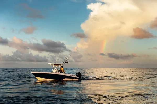 Slide: The Image of Wellcraft 242 Fisherman 2023 - 2
