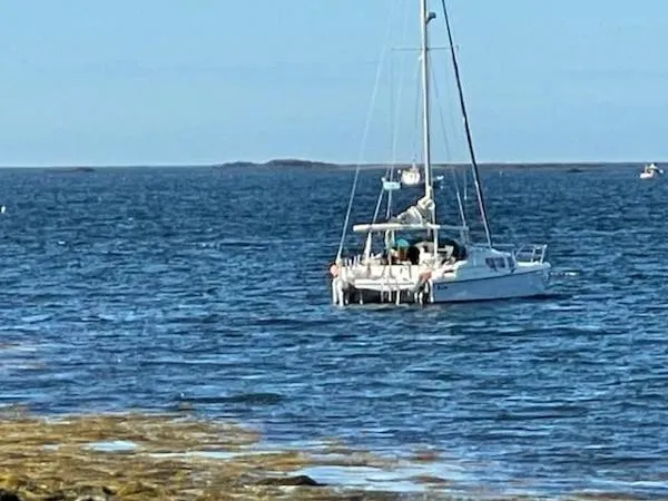 Slide: The Image of Prout Snowgoose 37 Elite 1990 - 4