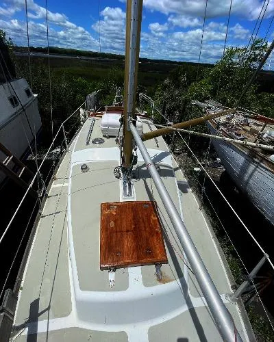 Slide: The Image of Custom Great Dane 28 1970 - 6