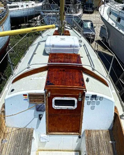 Slide: The Image of Custom Great Dane 28 1970 - 7