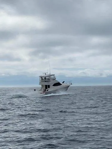 Slide: The Image of Silverton 38 Convertible 2003 - 4
