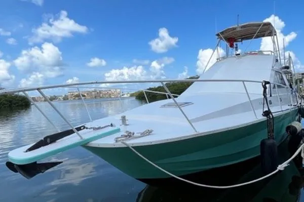 Slide: The Image of Stevens Sport Fish 1988 - 0