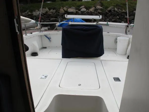 Slide: The Image of Bertram Sport Fisher 1981 - 7