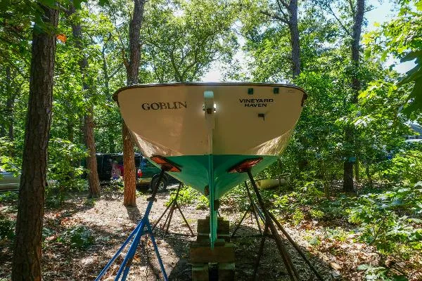Slide: The Image of Herreshoff Petrel Fish Class 1988 - 4