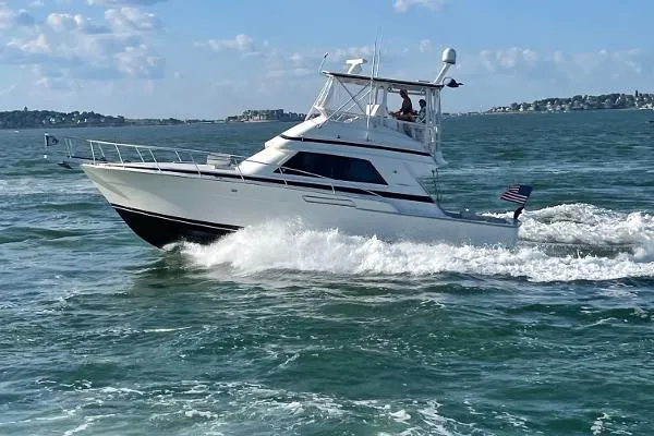 Slide: The Image of Bertram 43 Convertible 1989 - 0