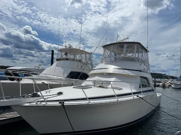 Slide: The Image of Bertram 43 Convertible 1989 - 2