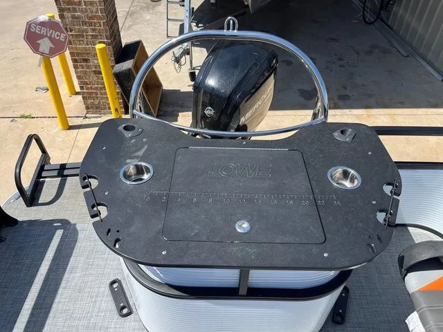 Slide: The Image of Lowe Sf234 2020 - 11