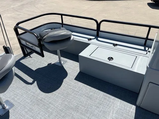 Slide: The Image of Lowe Sf234 2020 - 6