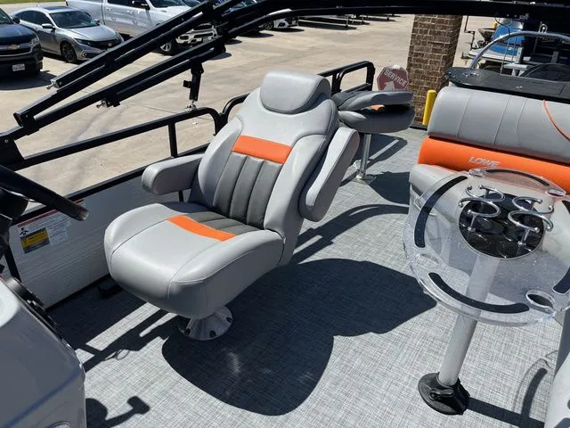 Slide: The Image of Lowe Sf234 2020 - 8