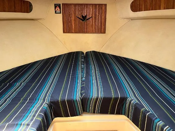 Slide: The Image of Bertram Sport Fisherman 1988 - 6