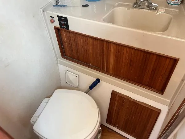 Slide: The Image of Bertram Sport Fisherman 1988 - 7