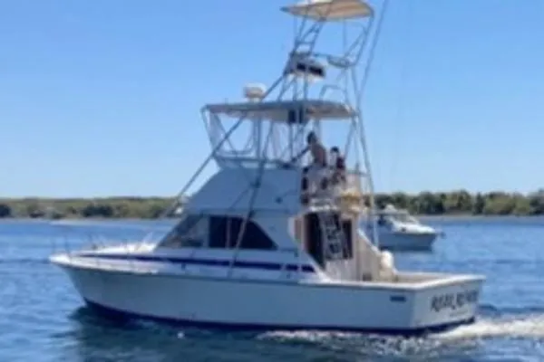 Slide: The Image of Bertram 35 Convertible 1985 - 2