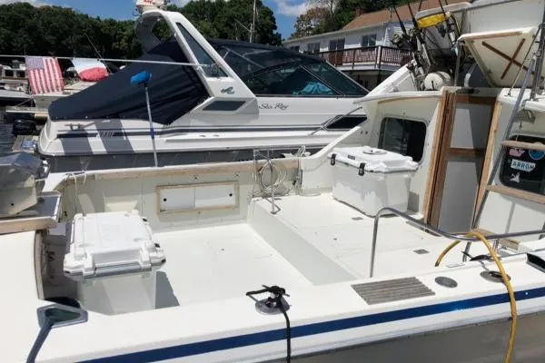 Slide: The Image of Bertram 28 Sport Fisherman 1984 - 1