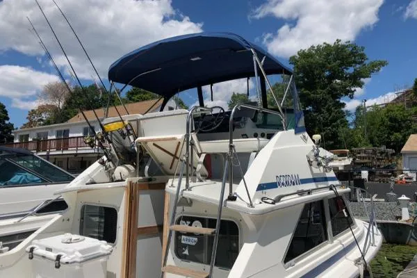 Slide: The Image of Bertram 28 Sport Fisherman 1984 - 2