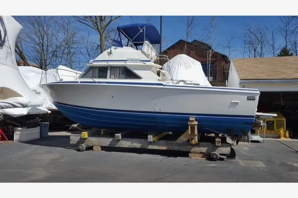 Slide: The Image of Bertram 28 Sport Fisherman 1984 - 3
