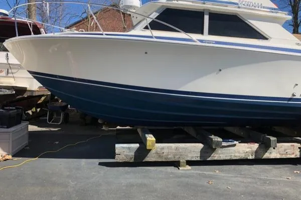 Slide: The Image of Bertram 28 Sport Fisherman 1984 - 5