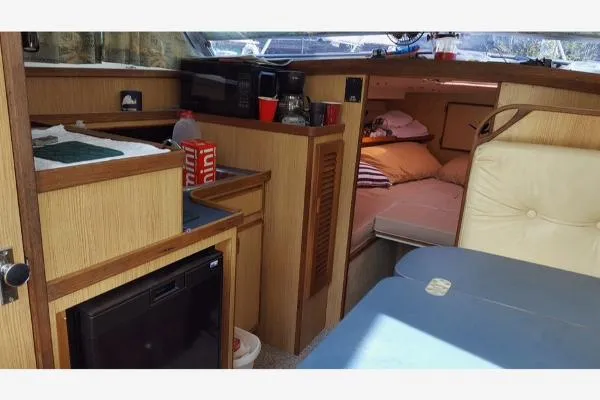 Slide: The Image of Bertram 28 Sport Fisherman 1984 - 7
