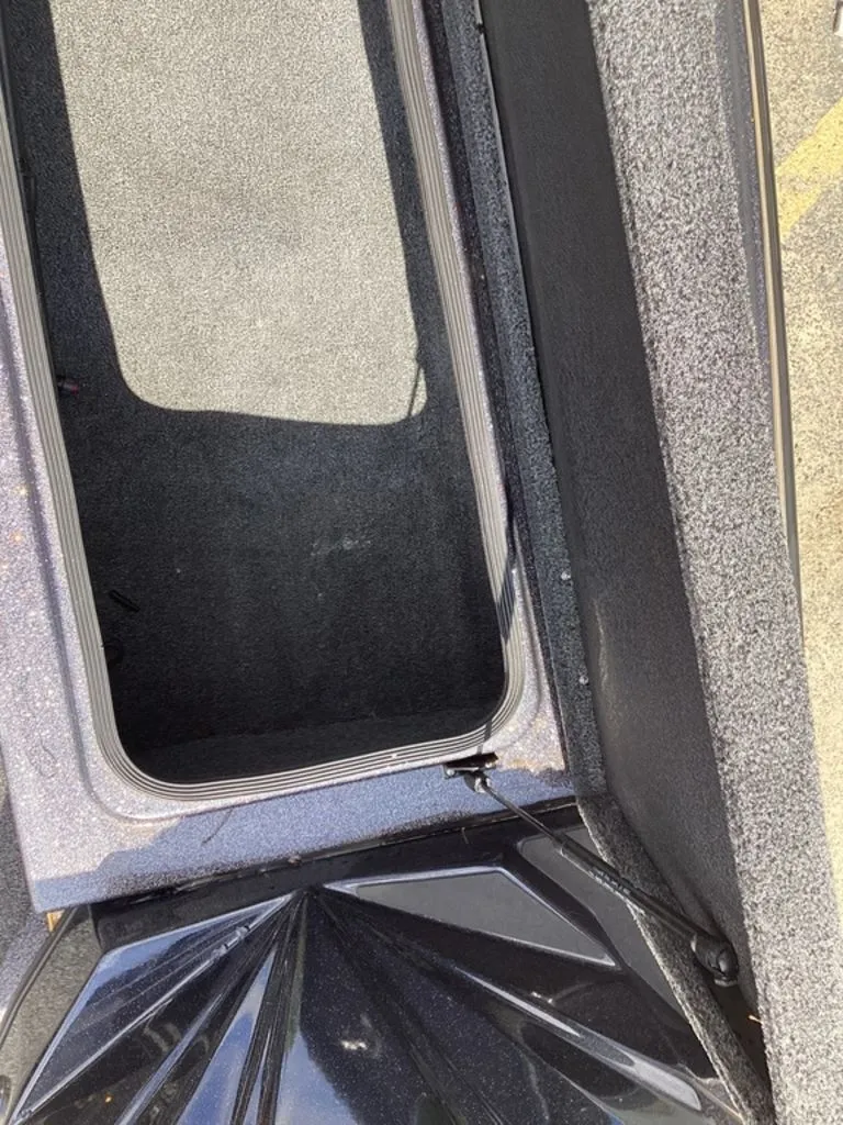 Slide: The Image of Bass Cat Puma STS 2025 - 49