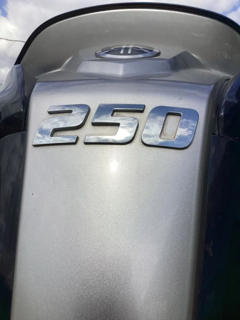 Slide: The Image of Bass Cat Puma STS 2025 - 72