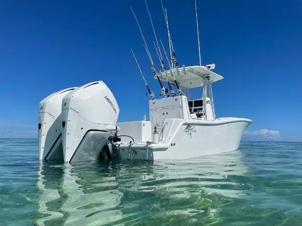 Slide: The Image of Ocean Runner 2900 C/C Open Fisherman 2020 - 2