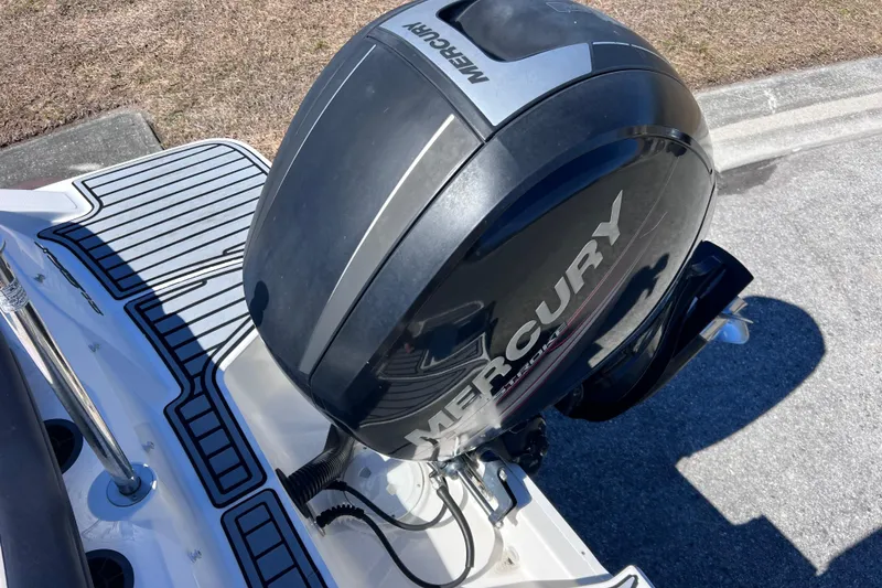 Slide: The Image of 2015 Sea Ray 21 SPX OB with Mercury outboard engine, rear deck view. - 12